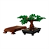 LEGO Botanical Collection: Bonsai drvo