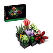 LEGO Botanical Collection: Sukulenti