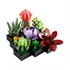 LEGO Botanical Collection: Sukulenti