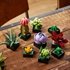 LEGO Botanical Collection: Sukulenti