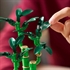 LEGO Botanical Collection: Sretni bambus